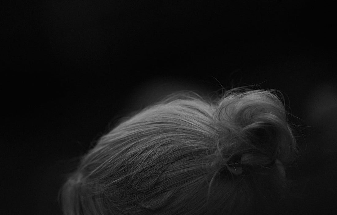 a black and white photo of a woman's hair