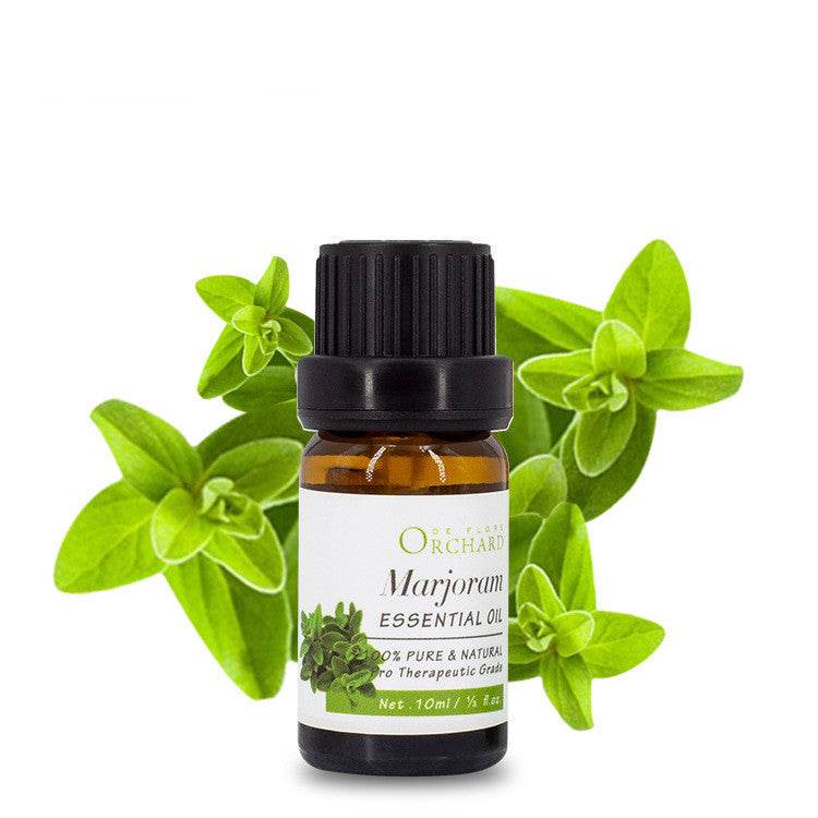 Fashion Aromatherapy Essential Oil for Style and Wellness - NamafadStore