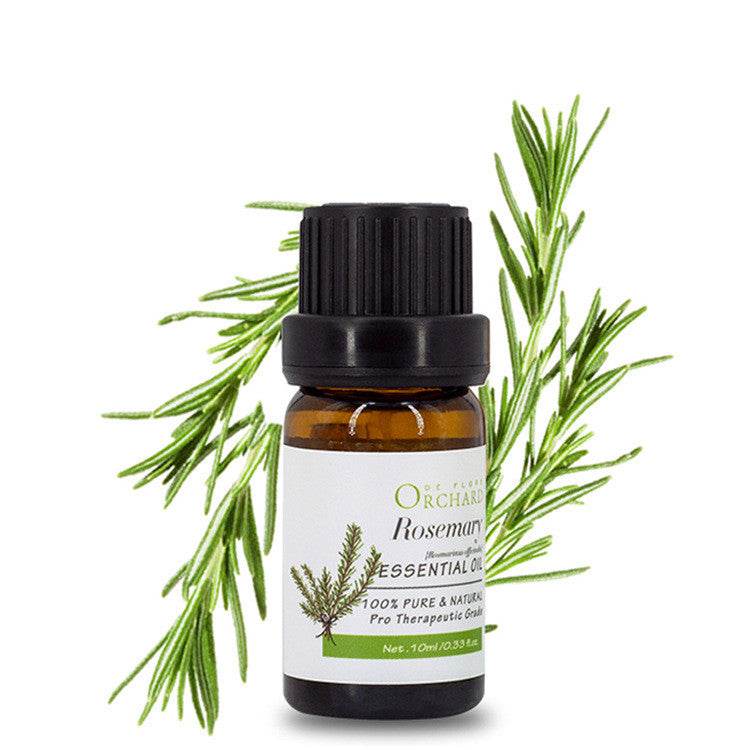 Fashion Aromatherapy Essential Oil for Style and Wellness - NamafadStore