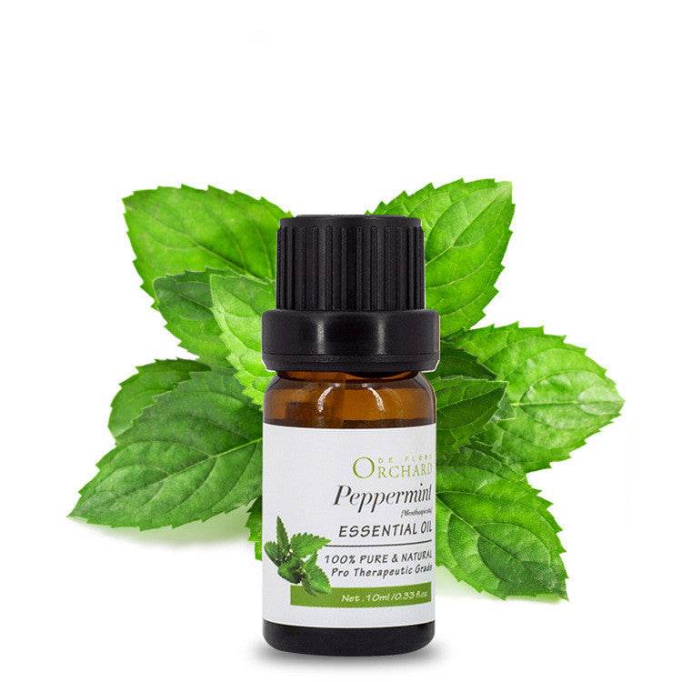 Fashion Aromatherapy Essential Oil for Style and Wellness - NamafadStore