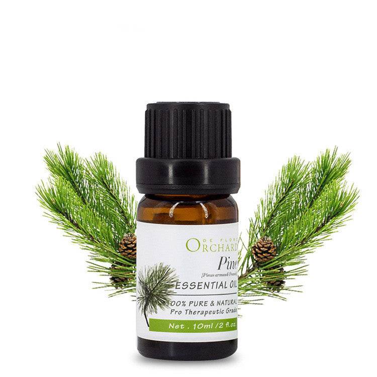 Fashion Aromatherapy Essential Oil for Style and Wellness - NamafadStore