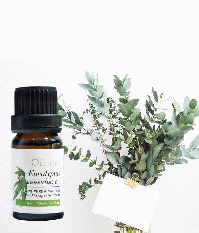 Fashion Aromatherapy Essential Oil for Style and Wellness - NamafadStore