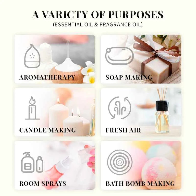 EVOKE OCCU100ML Essential Oils, Lavender Vanilla Eucalyptus Jasmine Rose Mint Oil for Diffuser, Humidifier, Scented Candle, Soap - NamafadStore