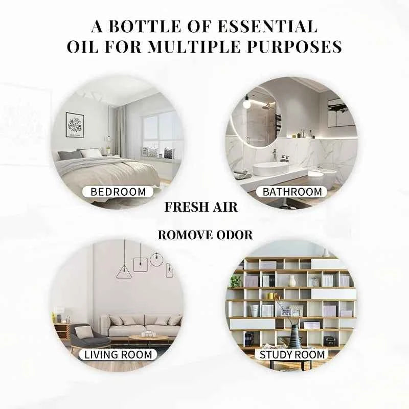 EVOKE OCCU100ML Essential Oils, Lavender Vanilla Eucalyptus Jasmine Rose Mint Oil for Diffuser, Humidifier, Scented Candle, Soap - NamafadStore