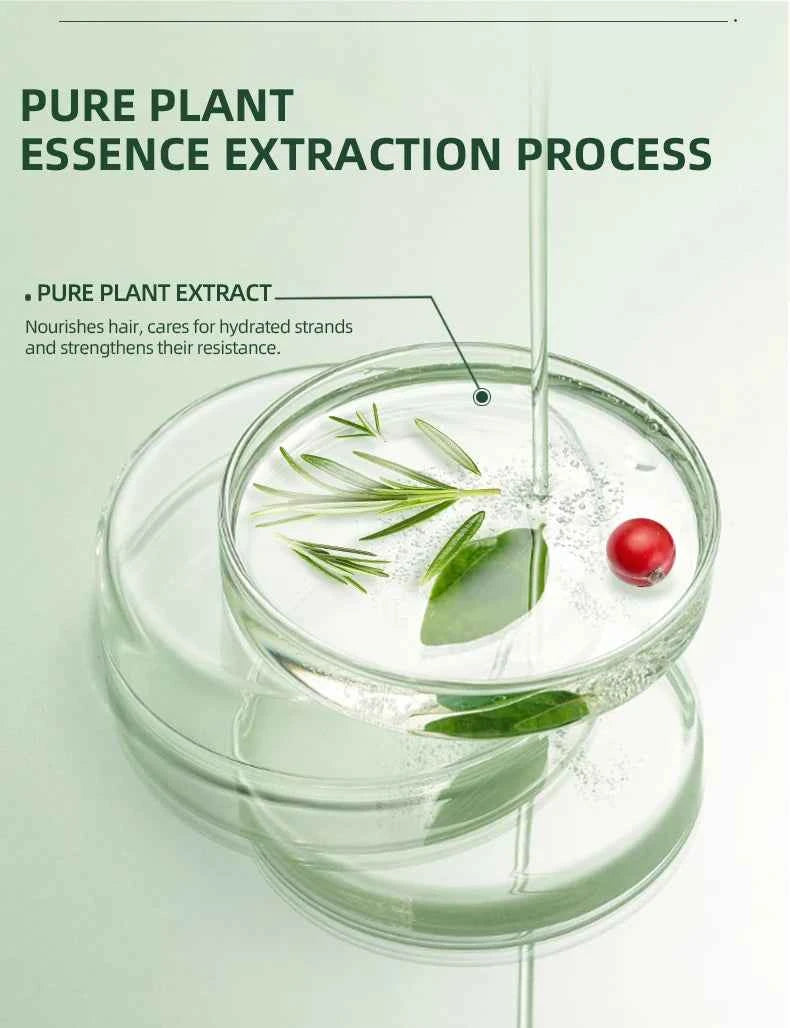 20ml Essential Oils Rosemary Oil for Hair Growth 100% Pure Essential oil Plant Therapy Ginger Oil Scalp Care Oil Rose Camellia