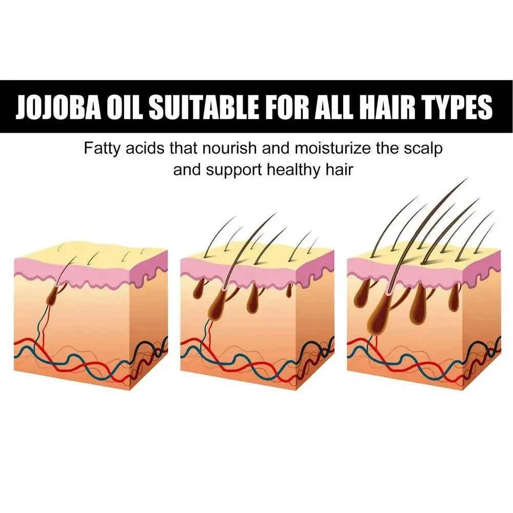 Hair Strengthen Oil Hair Strengthening Mild Oil With Jojoba Dry  Nourishment Oil For Hair Salon Vacation Home Traveling