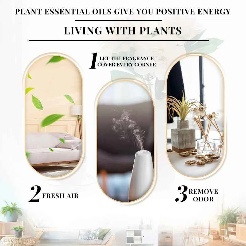 EVOKE OCCU100ML Essential Oils, Lavender Vanilla Eucalyptus Jasmine Rose Mint Oil for Diffuser, Humidifier, Scented Candle, Soap - NamafadStore