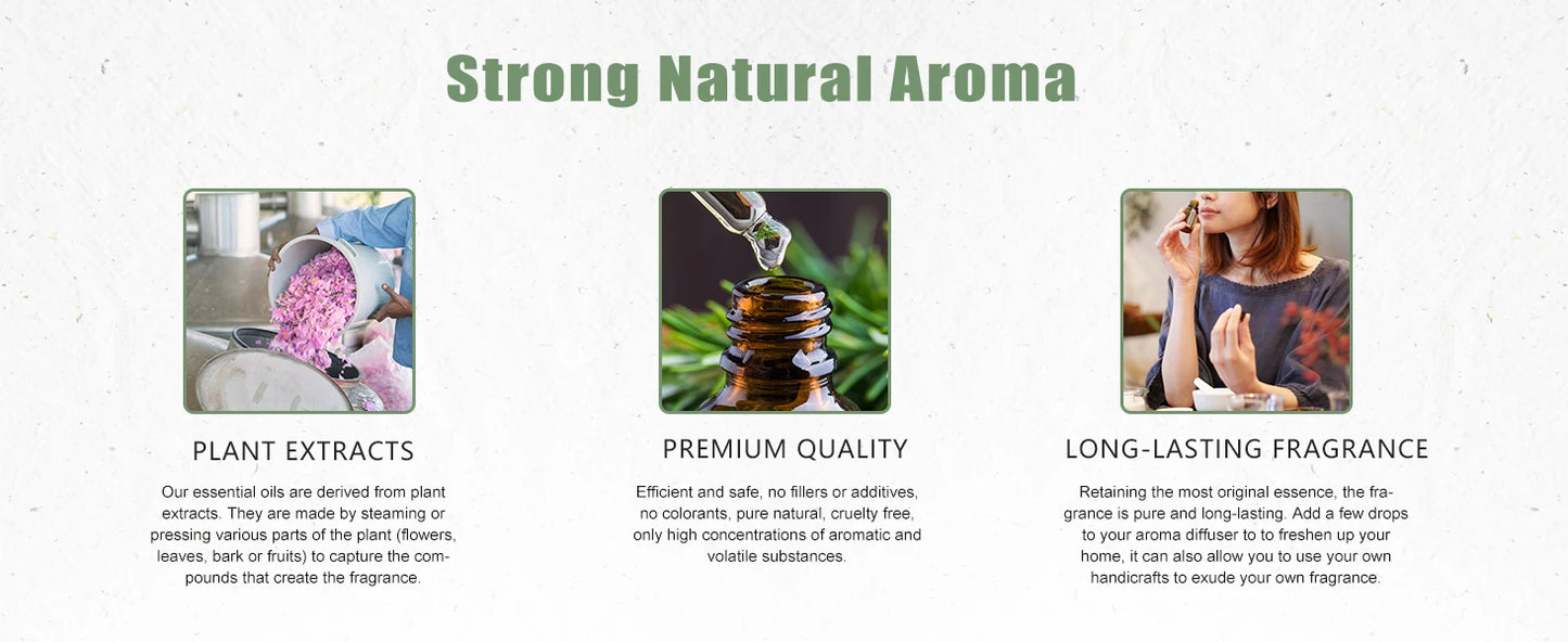 PHATOIL 100ml Essential Oils Lemon Eucalyptus Sweet Orange Cinnamon Vanilla Aroma Oils for Humidifier Diffuser Aromatherapy
