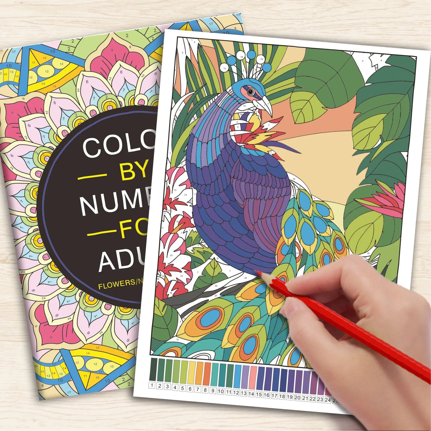32-Page Color by Number Book for Adults – Floral, Nature & Animal Coloring