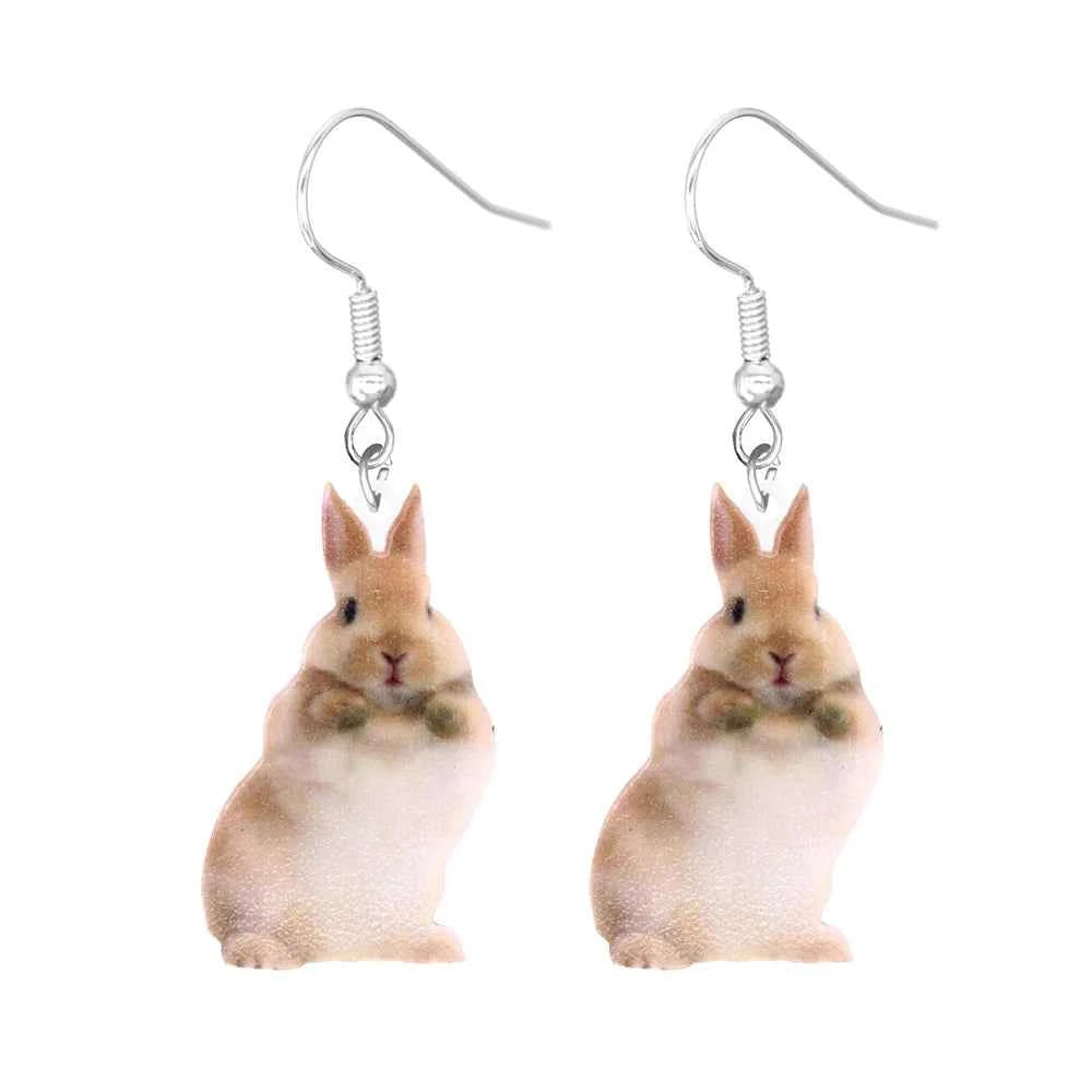 Animal earrings made of acrylic, cute and funny Hummingbird, goldfish, squirrel, parrot, owl, rooster, frog