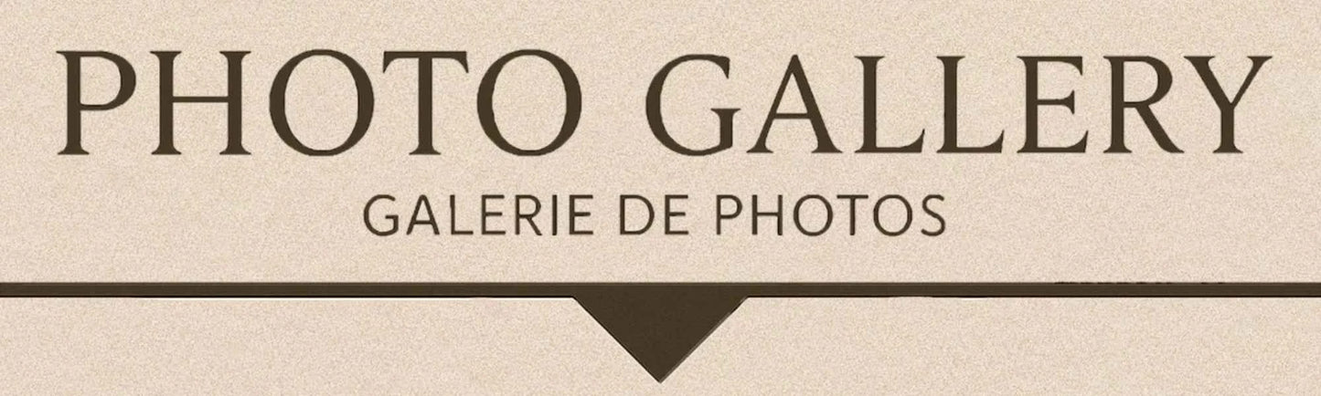 Effie Queen Natural Freshwater Pearls With Starfish Style & Floral Pattern Ornament 925 Sterling Silver Dangle Earrings GPE117