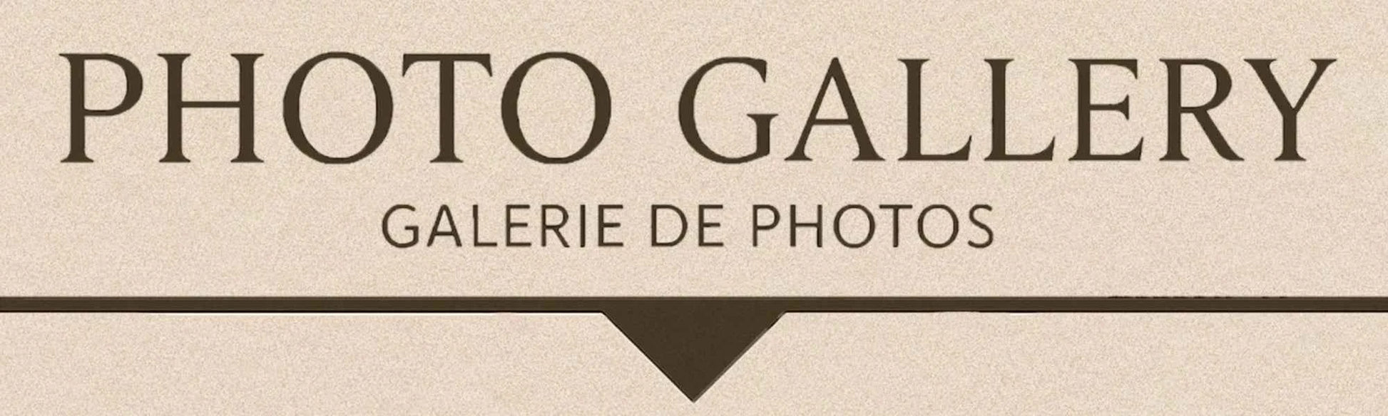 Effie Queen Natural Freshwater Pearls With Starfish Style & Floral Pattern Ornament 925 Sterling Silver Dangle Earrings GPE117