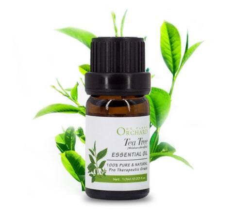 Fashion Aromatherapy Essential Oil for Style and Wellness - NamafadStore