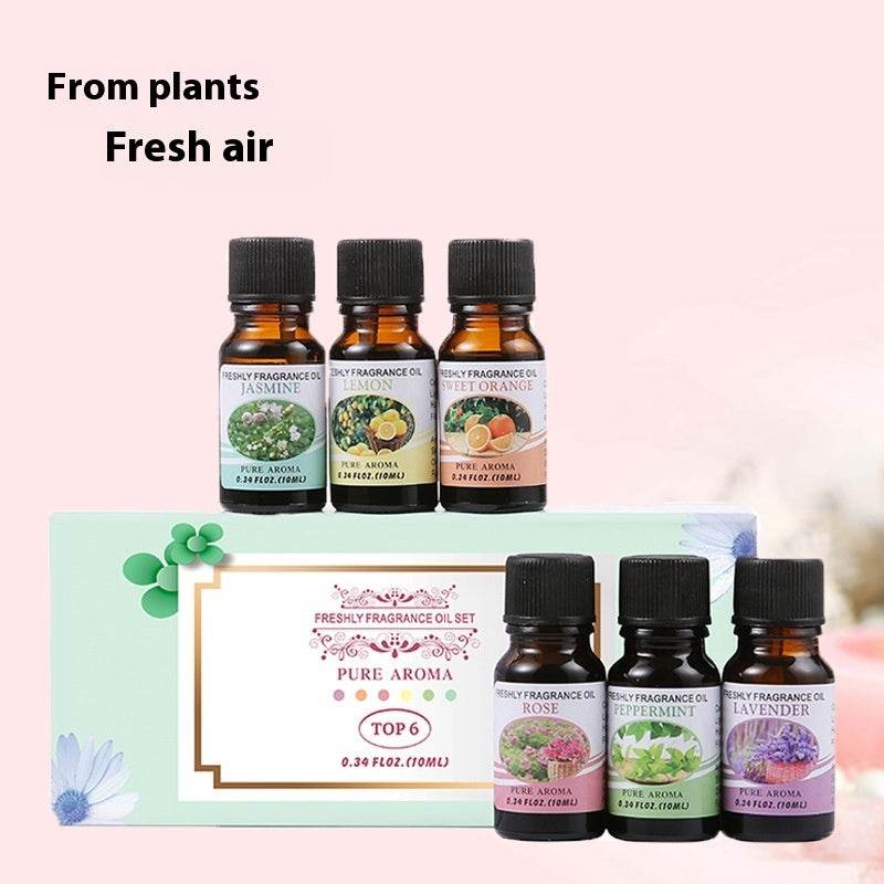Fragrant Stone Aromatherapy Humidifier Water Soluble Combination Plant Sweet Orange Aromatherapy Oil - NamafadStore