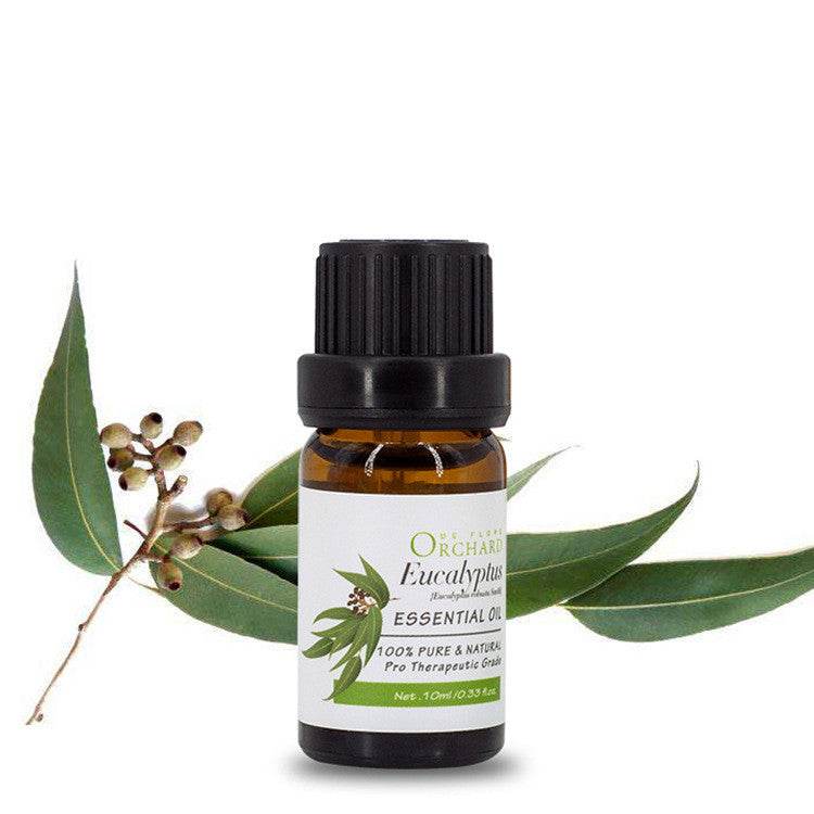 Fashion Aromatherapy Essential Oil for Style and Wellness - NamafadStore
