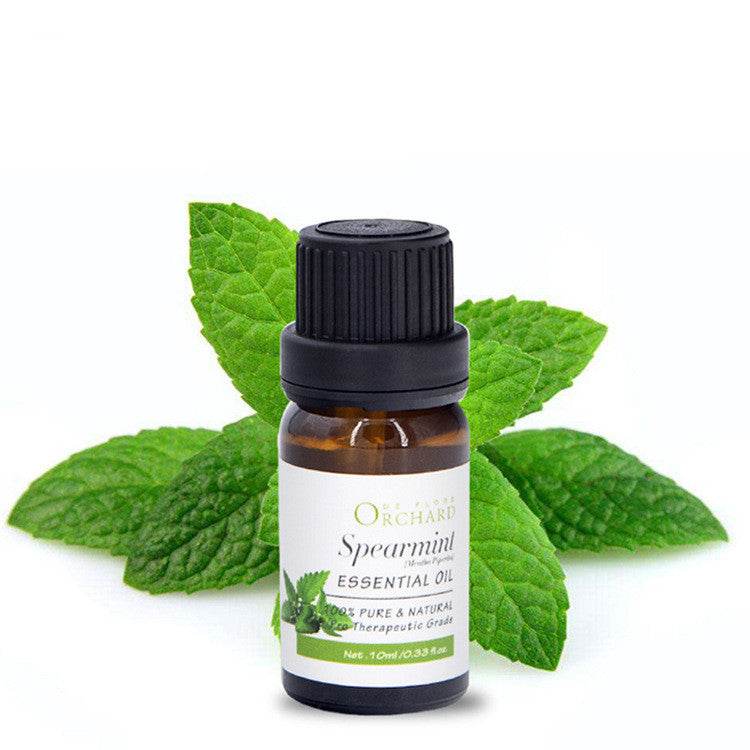 Fashion Aromatherapy Essential Oil for Style and Wellness - NamafadStore