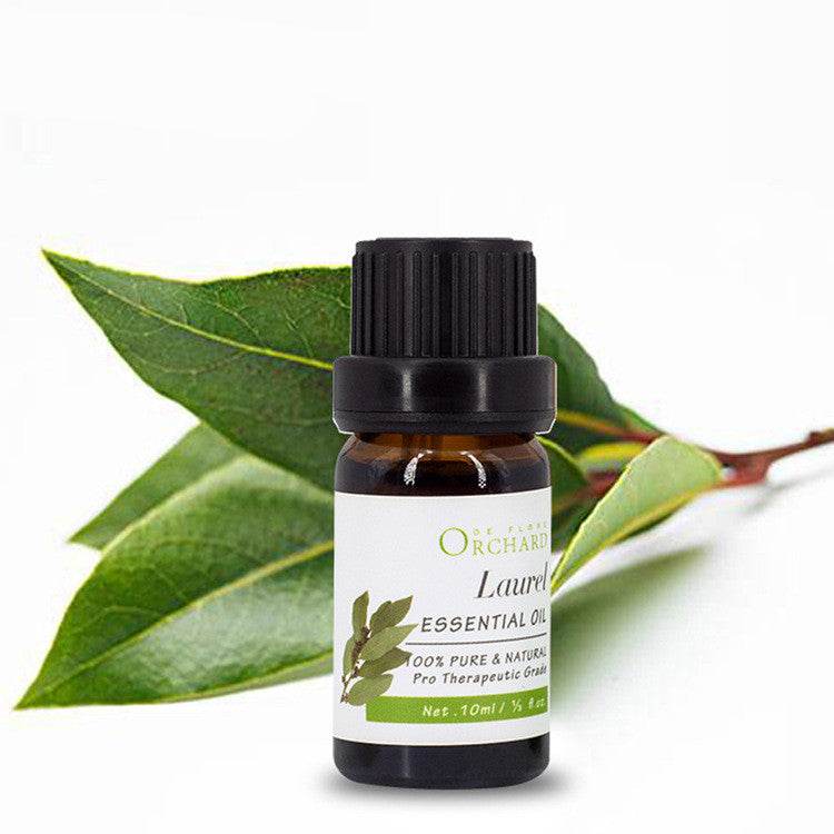 Fashion Aromatherapy Essential Oil for Style and Wellness - NamafadStore