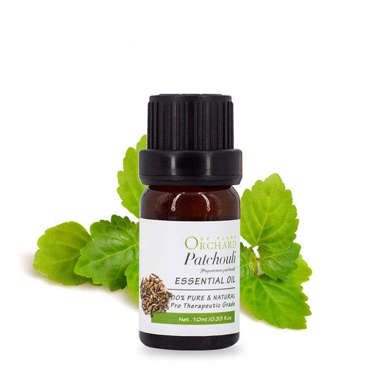 Fashion Aromatherapy Essential Oil for Style and Wellness - NamafadStore