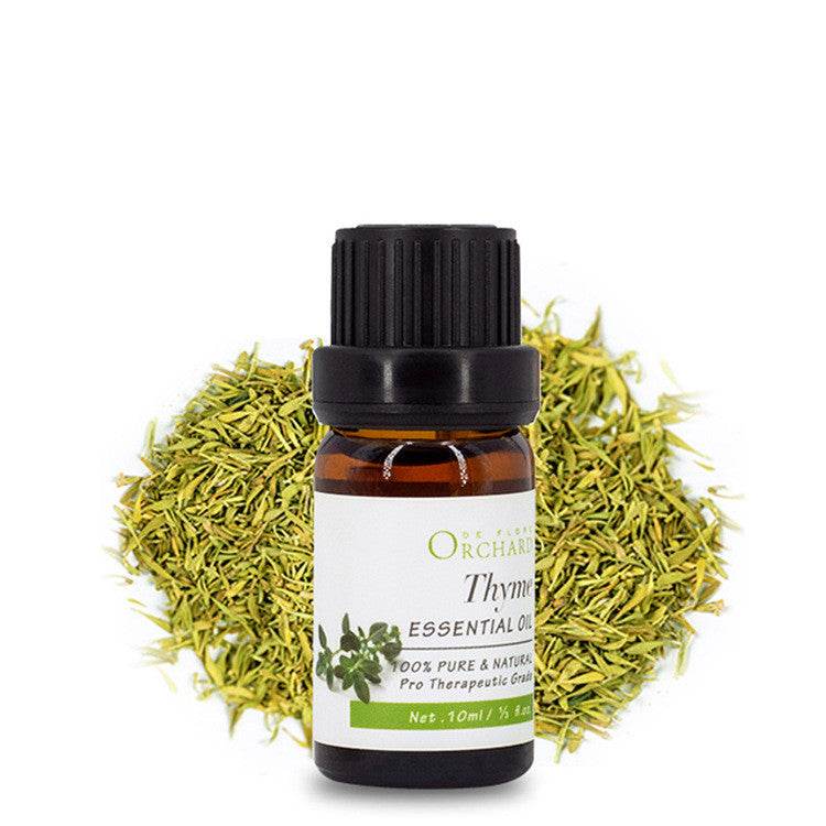 Fashion Aromatherapy Essential Oil for Style and Wellness - NamafadStore