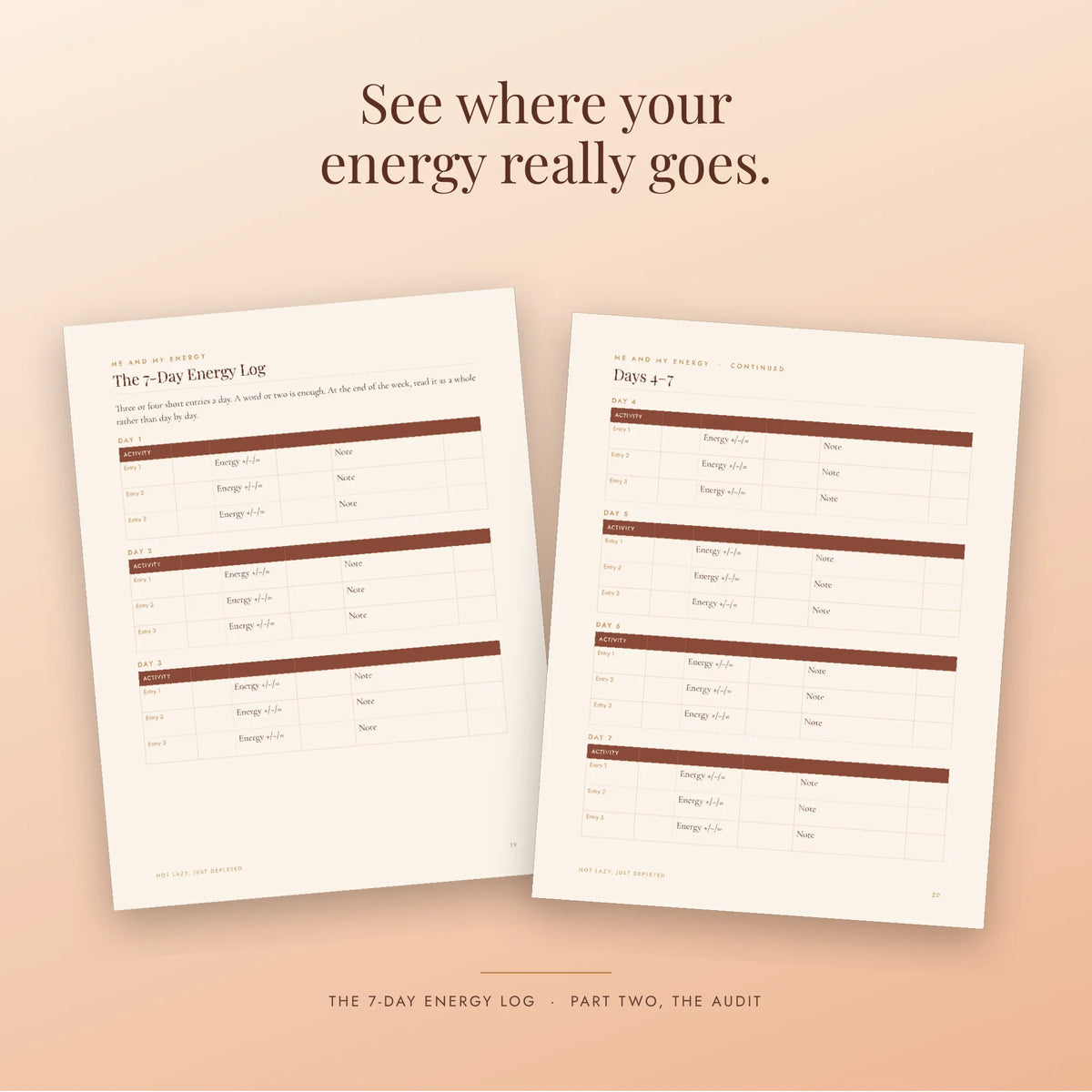 Not Lazy, Just Depleted: A Workbook for Spotting High-Functioning Burnout and Rebuilding Your Energy