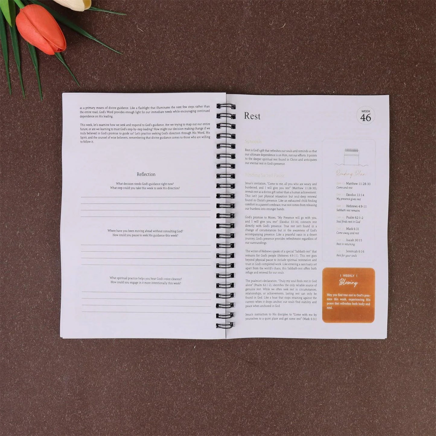 Women’s One-Year Bible Reading Journal – 52-Week Christian Scripture Study Guide
