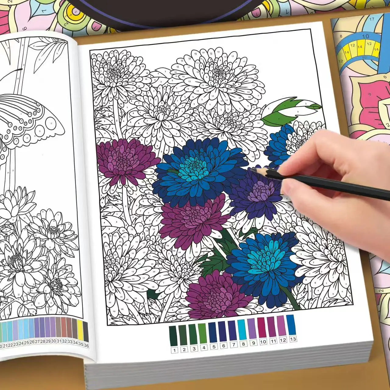 32-Page Color by Number Book for Adults – Mandala, Flower & Nature Coloring