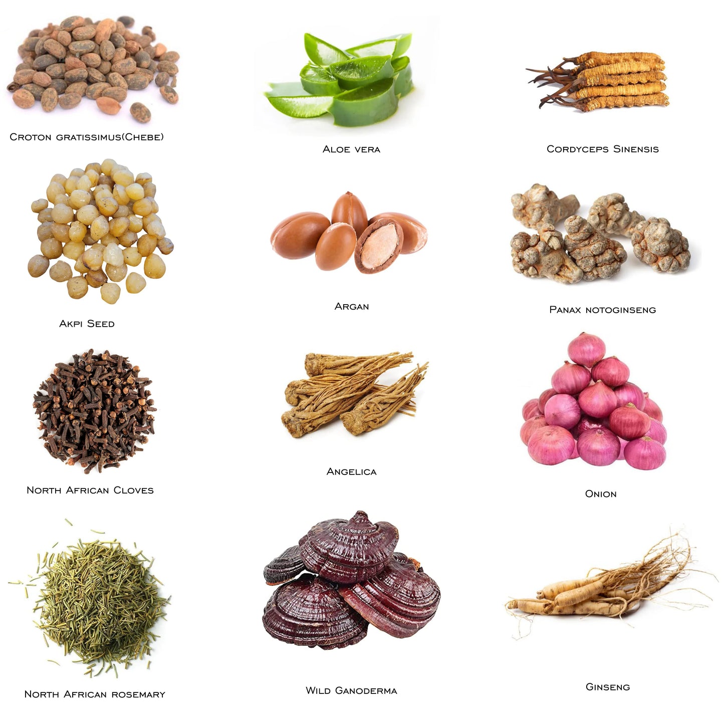 North African Layden Hot Oil Warm Scalp The Key to Deep Conditioning Scalp & Hair Roots Strengthening 50ml - NamafadStore