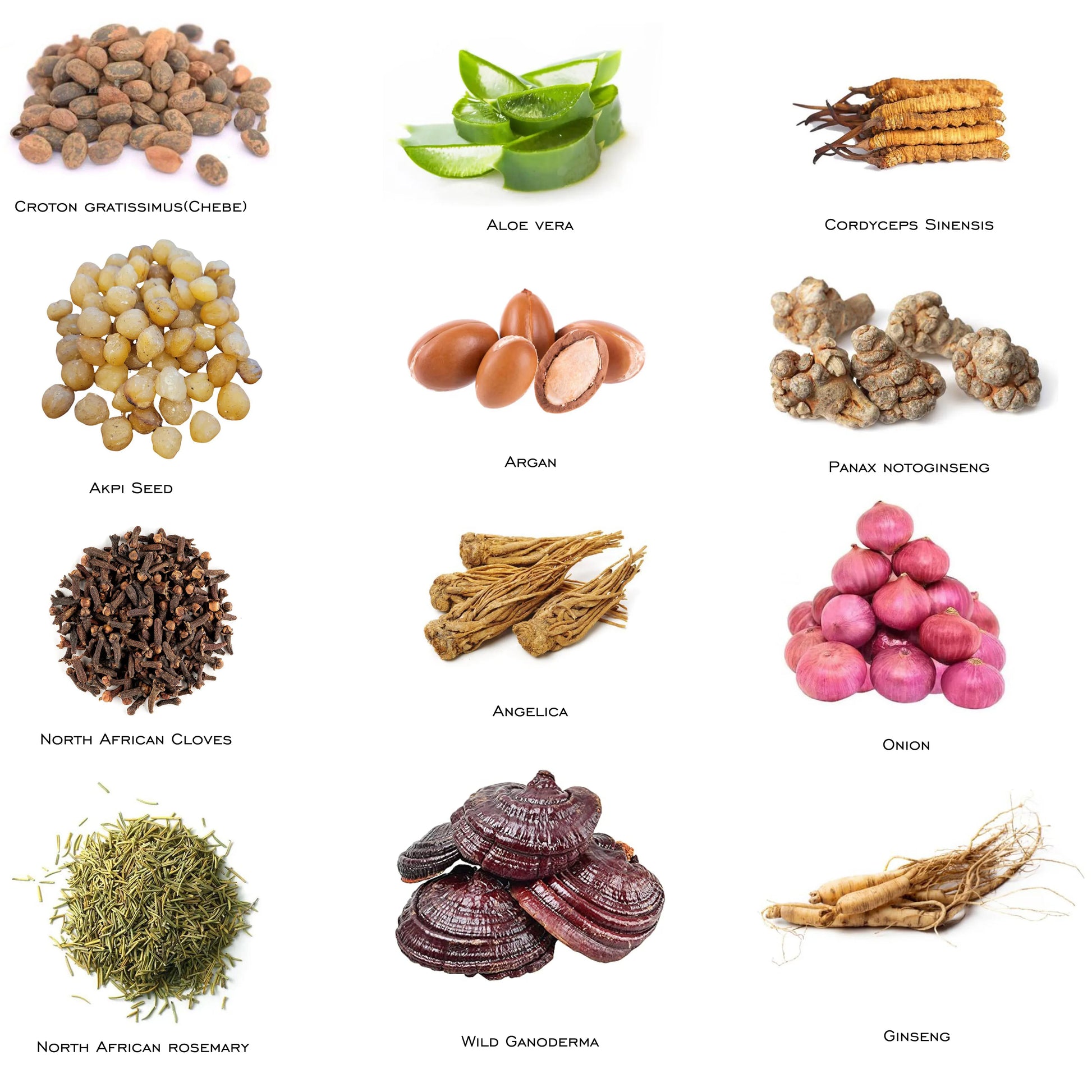 North African Layden Hot Oil Warm Scalp The Key to Deep Conditioning Scalp & Hair Roots Strengthening 50ml - NamafadStore