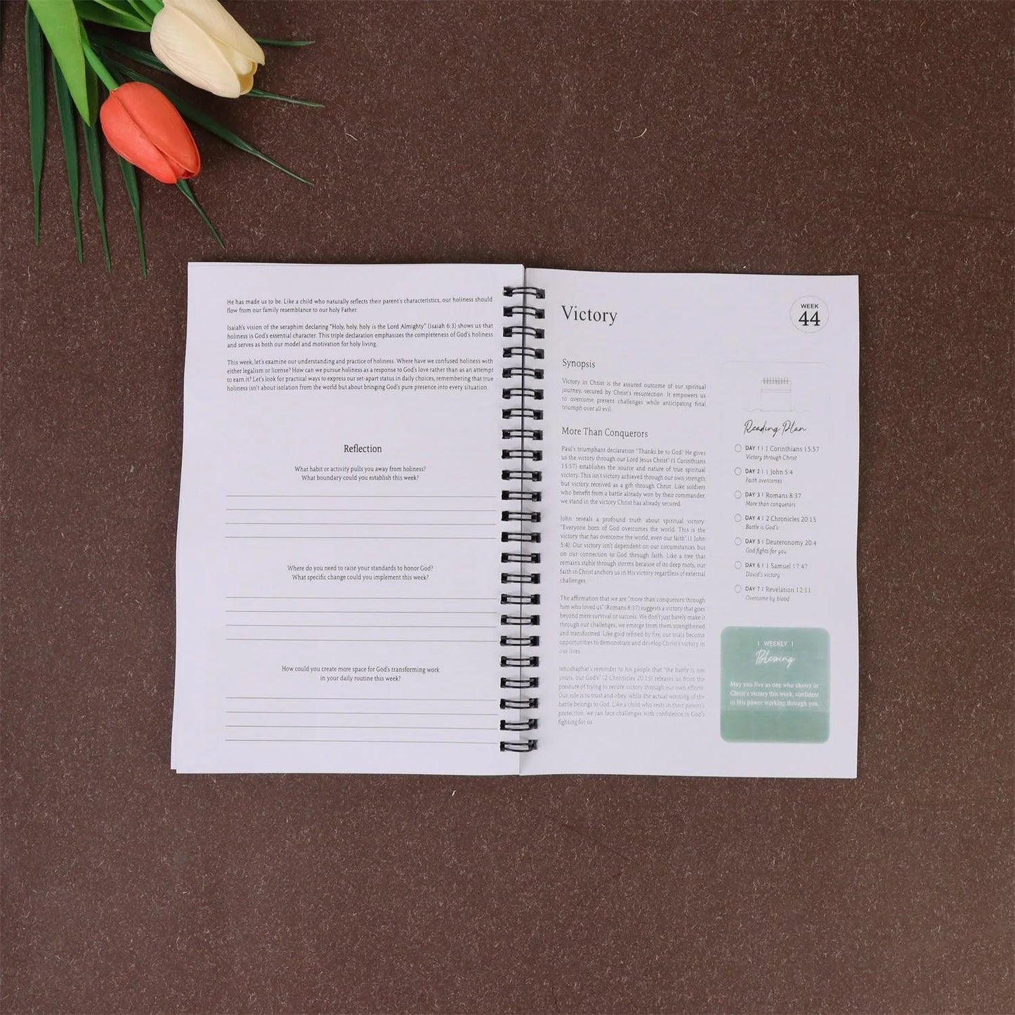 Women’s One-Year Bible Reading Journal – 52-Week Christian Scripture Study Guide