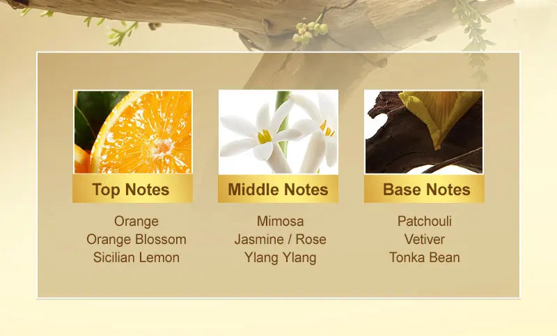 PURC Morocco Argan Oil Hair Mask Smoothing Nourishing Hair Oil Sets Repair Damaged Frizz Hair Treatment Hair Care