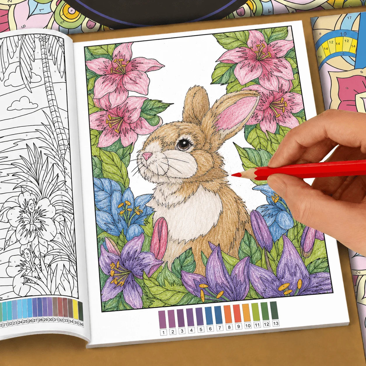 32-Page Color by Number Book for Adults – Mandala, Flower & Animal Coloring