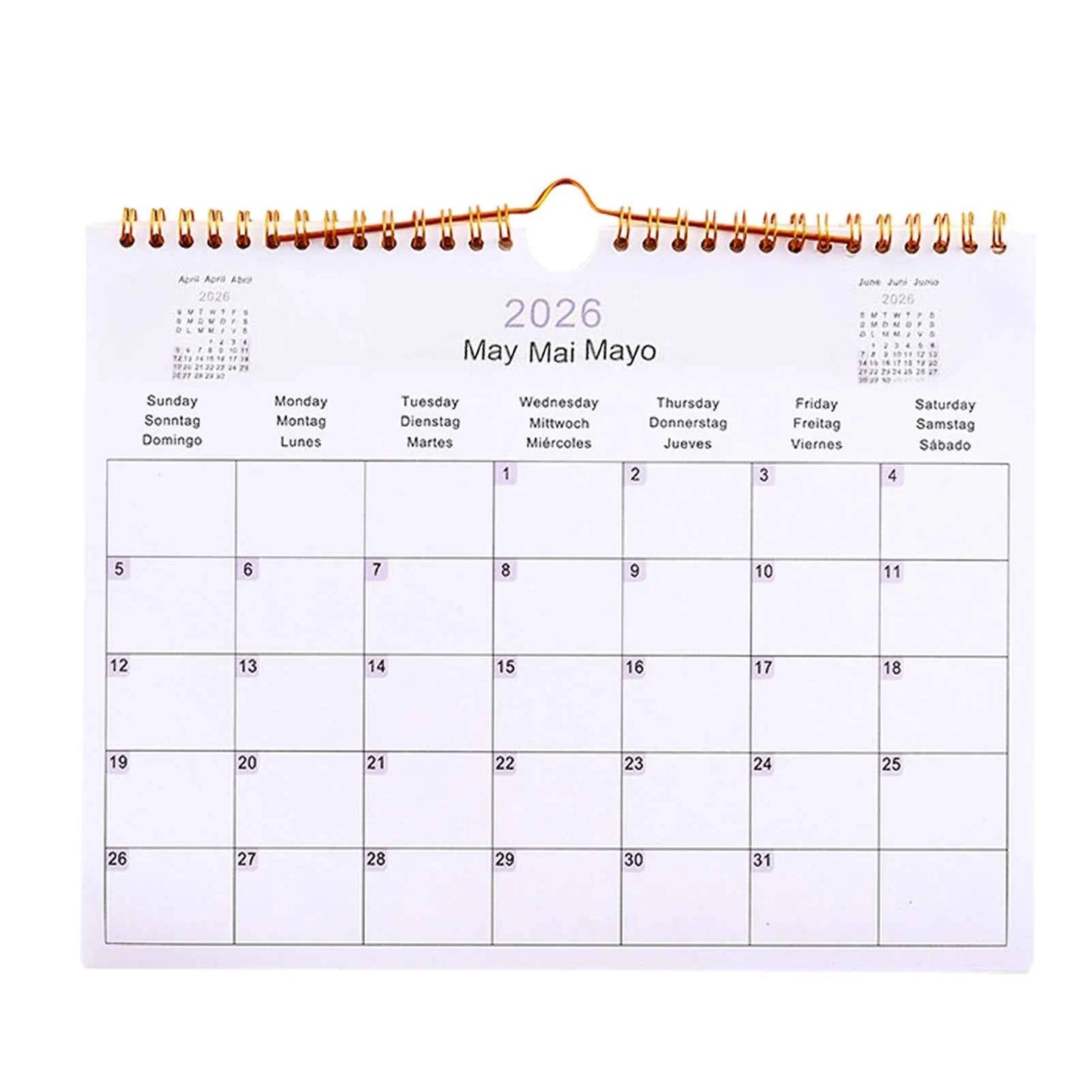Calendar 2025 20252026 Calendar Planner Multilingual Coil Planner Agenda Organizer Scheduling For Home Office School Classroom
