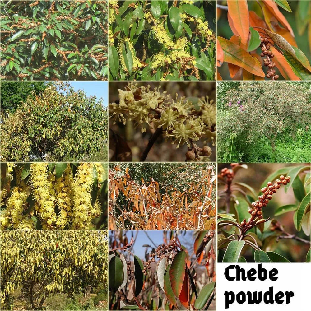 North African Layden Hot Oil Warm Scalp The Key to Deep Conditioning Scalp & Hair Roots Strengthening 50ml - NamafadStore