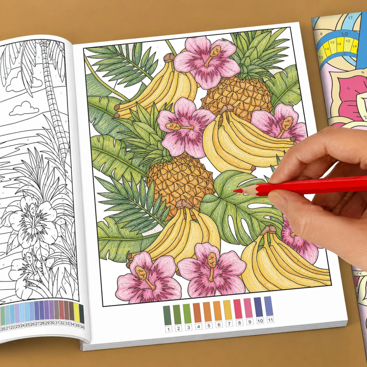 32-Page Color by Number Book for Adults – Mandala, Flower & Animal Coloring
