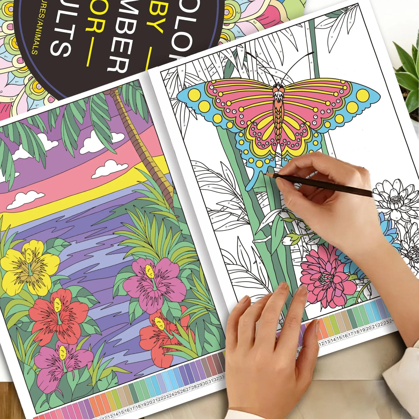 32-Page Color by Number Book for Adults – Floral, Nature & Animal Coloring