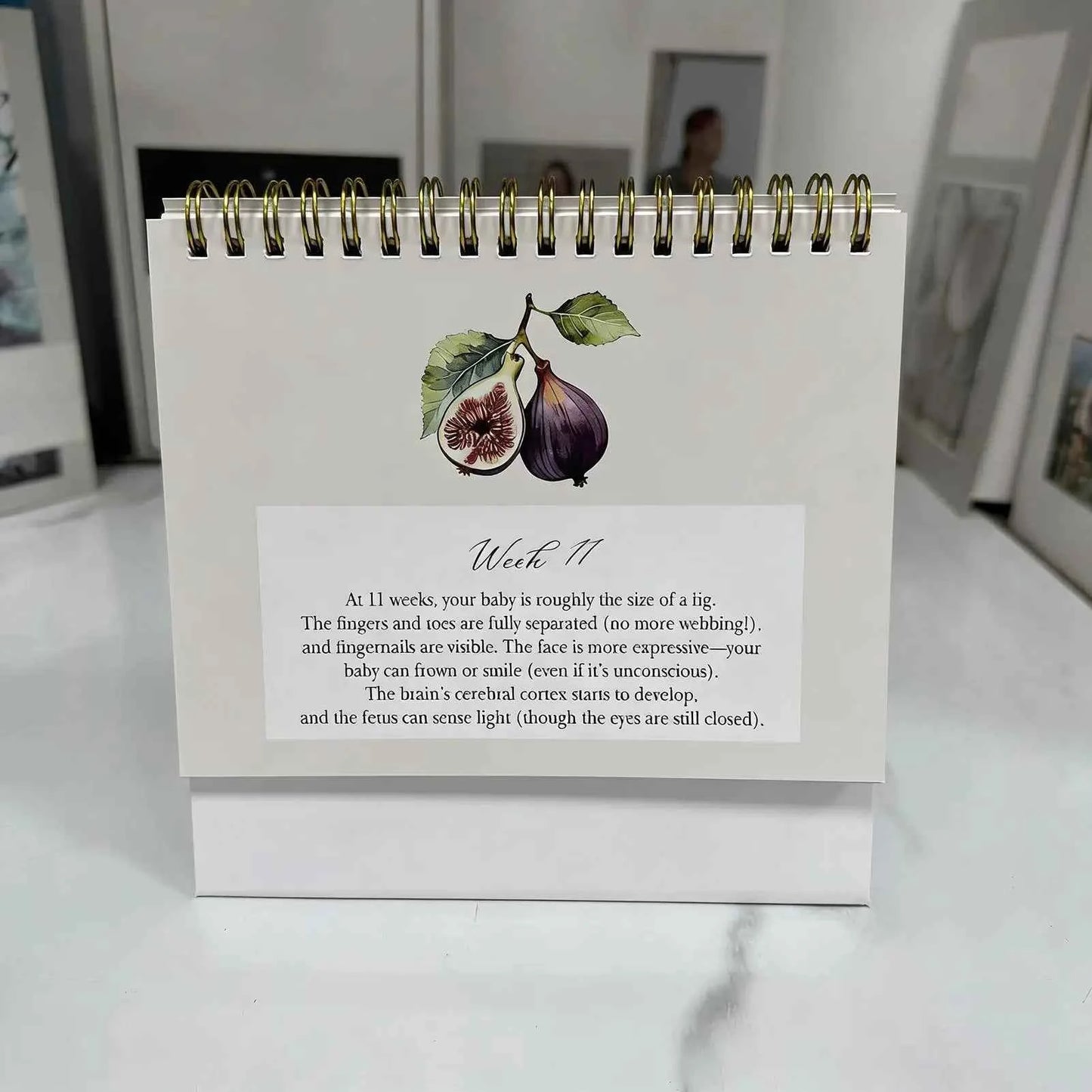 Pregnancy Calendar Weekly Hardcover Keepsake Journal for Expecting Moms Home Bedroom Study Desktop Planning Tracking