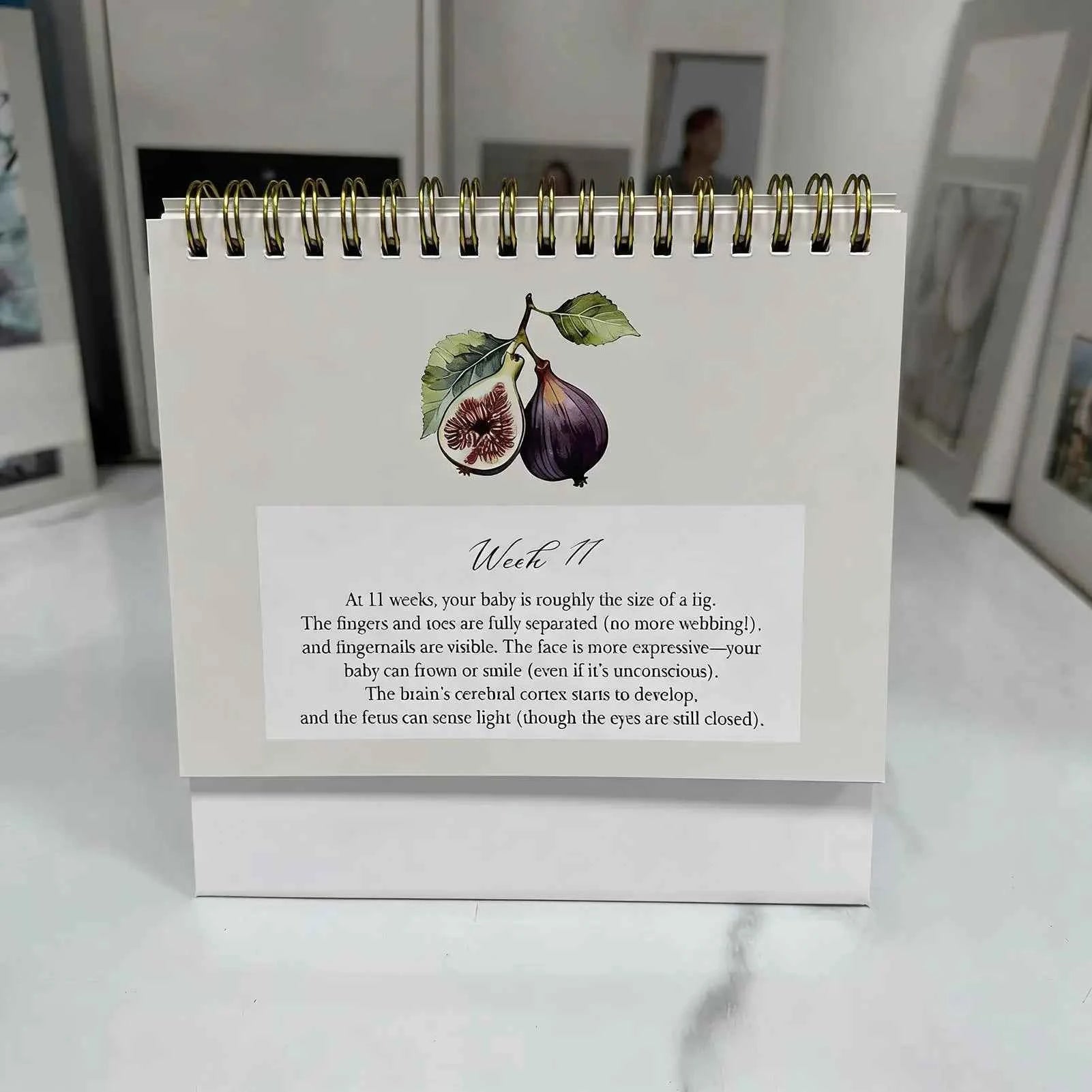 Pregnancy Calendar Weekly Hardcover Keepsake Journal for Expecting Moms Home Bedroom Study Desktop Planning Tracking