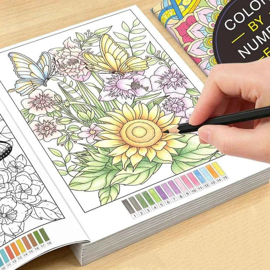 Color-by-number coloring book page with sunflower and floral outlines plus color key bars
